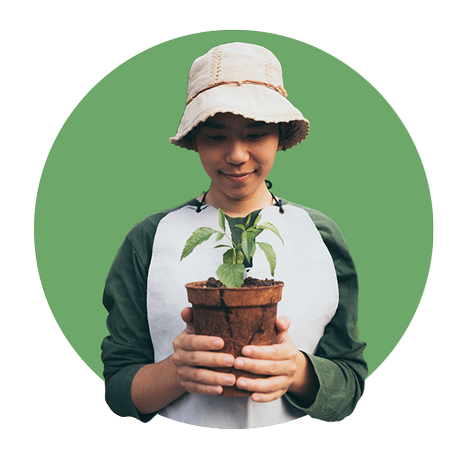 pessoa a segurar numa planta com cuidado - imagem representativa de cuidados de jardinagem