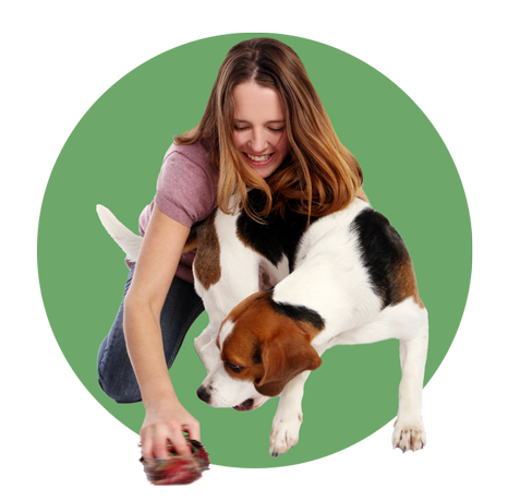 imagem representativa de pet sitting, com rapariga a brincar com cão